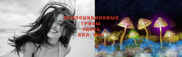 круглые Аркадак