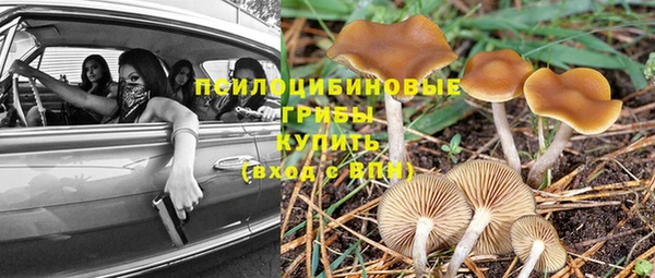 ГАЛЛЮЦИНОГЕННЫЕ ГРИБЫ Арсеньев