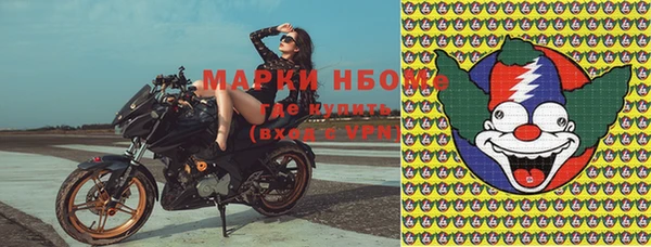 ГАЛЛЮЦИНОГЕННЫЕ ГРИБЫ Арсеньев