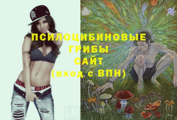 ешки Армянск