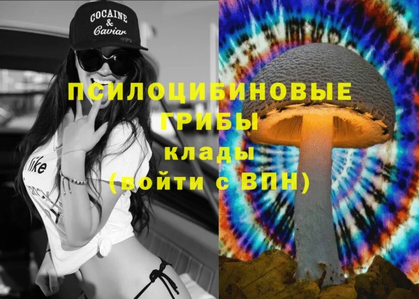 круглые Аркадак