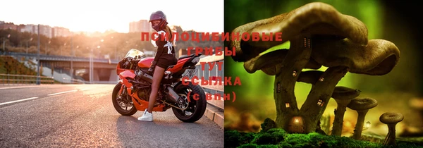 марки lsd Балабаново